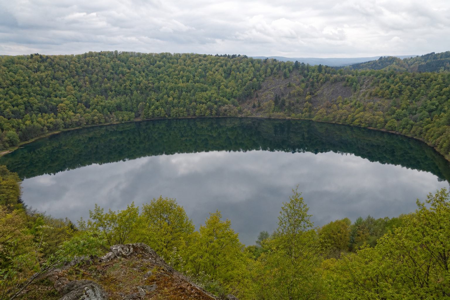 Stillspiegel eines Maars mit Waldrand in der Vulkaneifel